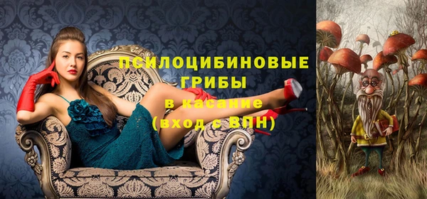 ECSTASY Костерёво