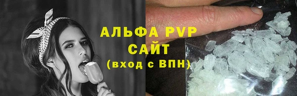 ECSTASY Костерёво