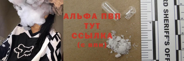 ECSTASY Костерёво