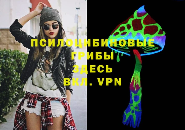 ECSTASY Костерёво