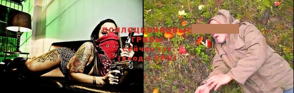 кокс Корсаков