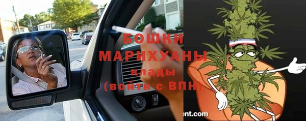 ECSTASY Костерёво