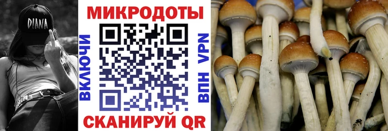 Галлюциногенные грибы Psilocybine cubensis  Купить закладки  Балахна 